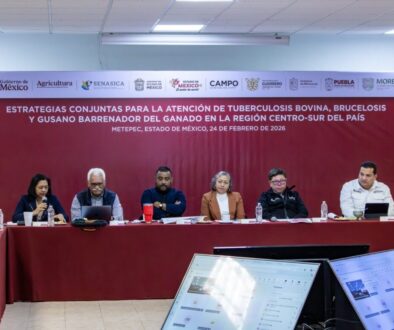 41056e6f-bfe2-4d57-a45c-7683bf3cef26