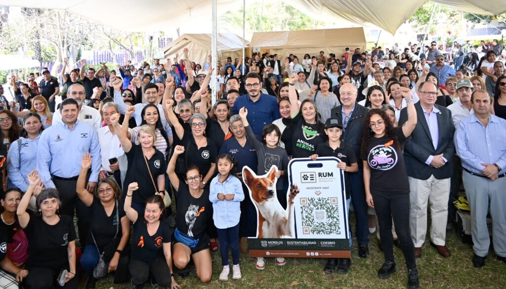 8880db6f-5639-43a0-82f1-3fe7e28d8485