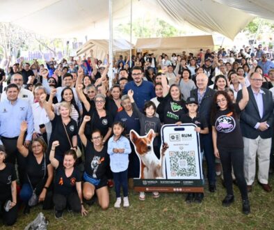 8880db6f-5639-43a0-82f1-3fe7e28d8485