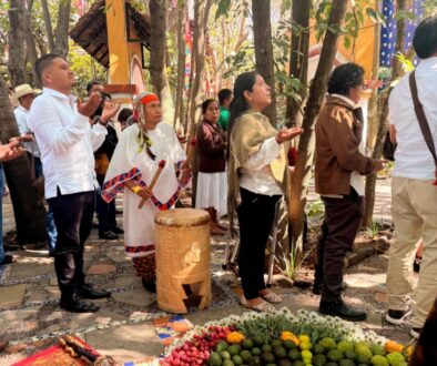 71b2ee3b-4cd0-474f-a950-0b4b35183c65