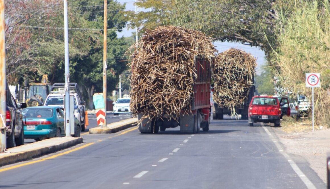 833f05cf-4733-4be0-a0d3-744e83a42cf5