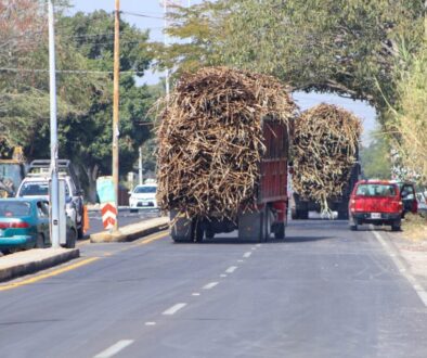 833f05cf-4733-4be0-a0d3-744e83a42cf5