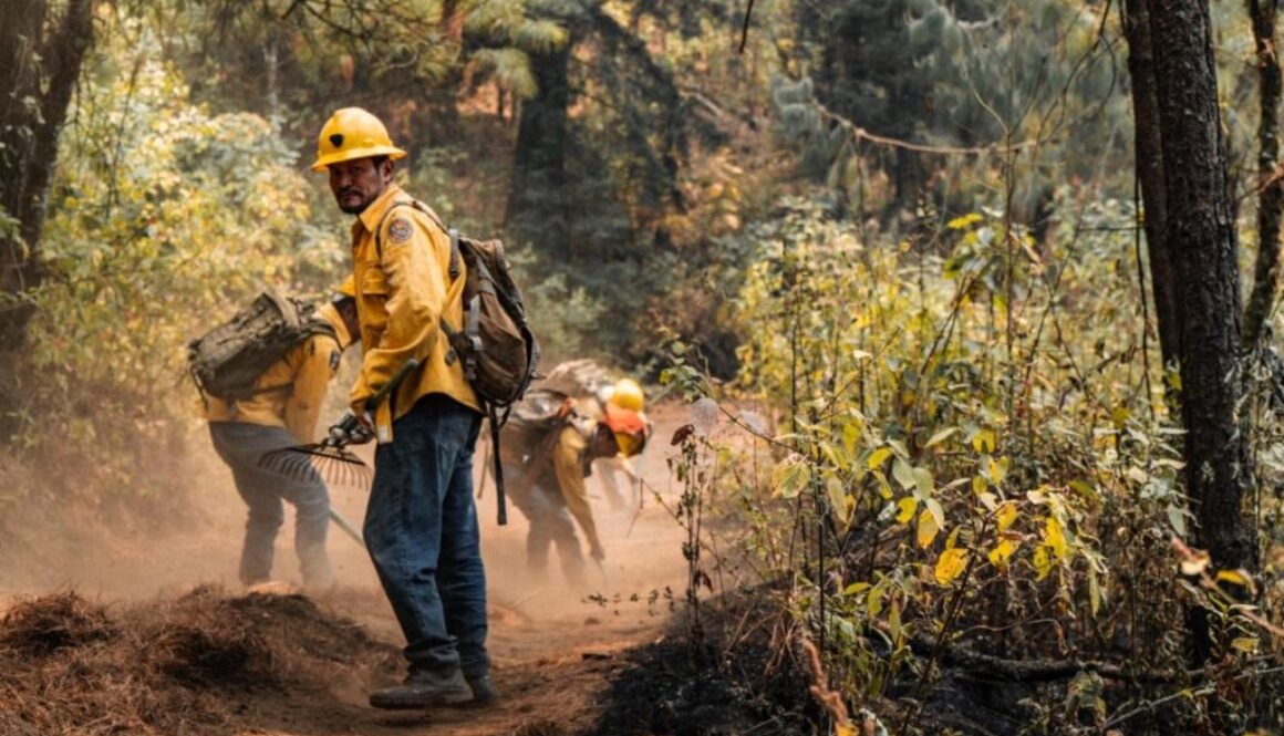 c1e8cc12-ecde-4419-8436-f49f829762c8