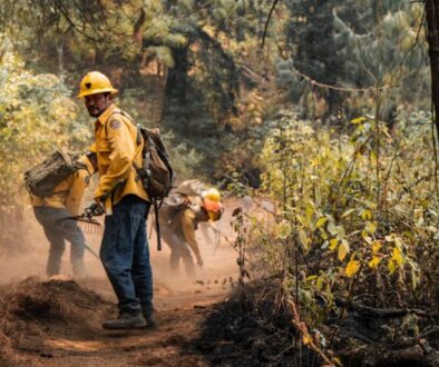 c1e8cc12-ecde-4419-8436-f49f829762c8