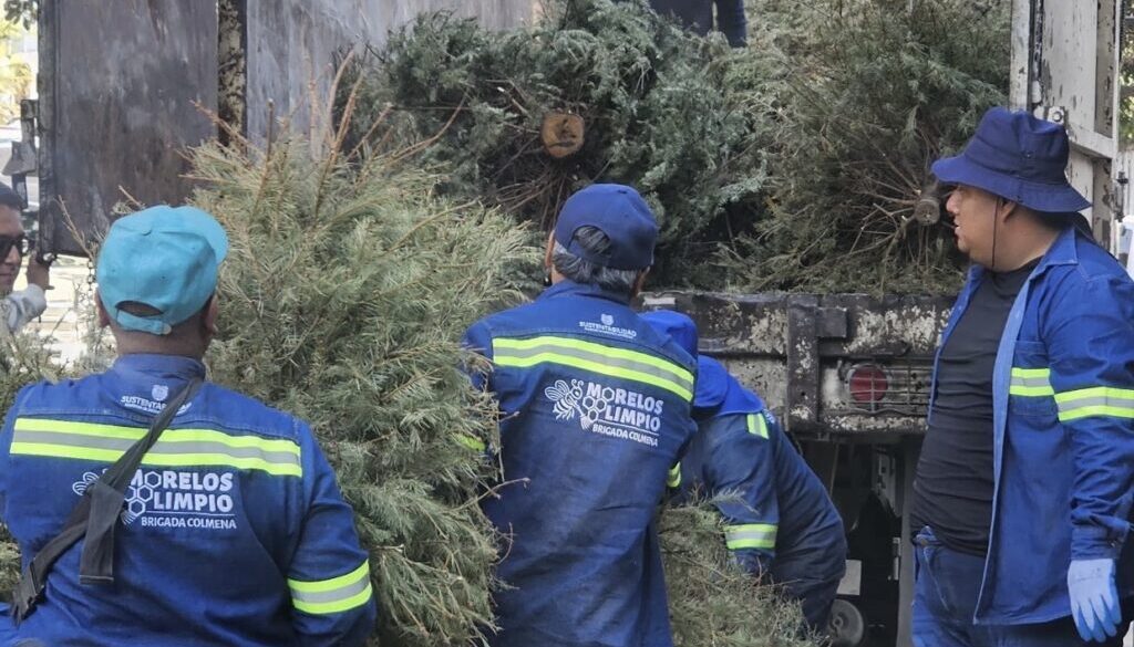 4d247793-31d2-427e-a394-a4a2da45fb8b