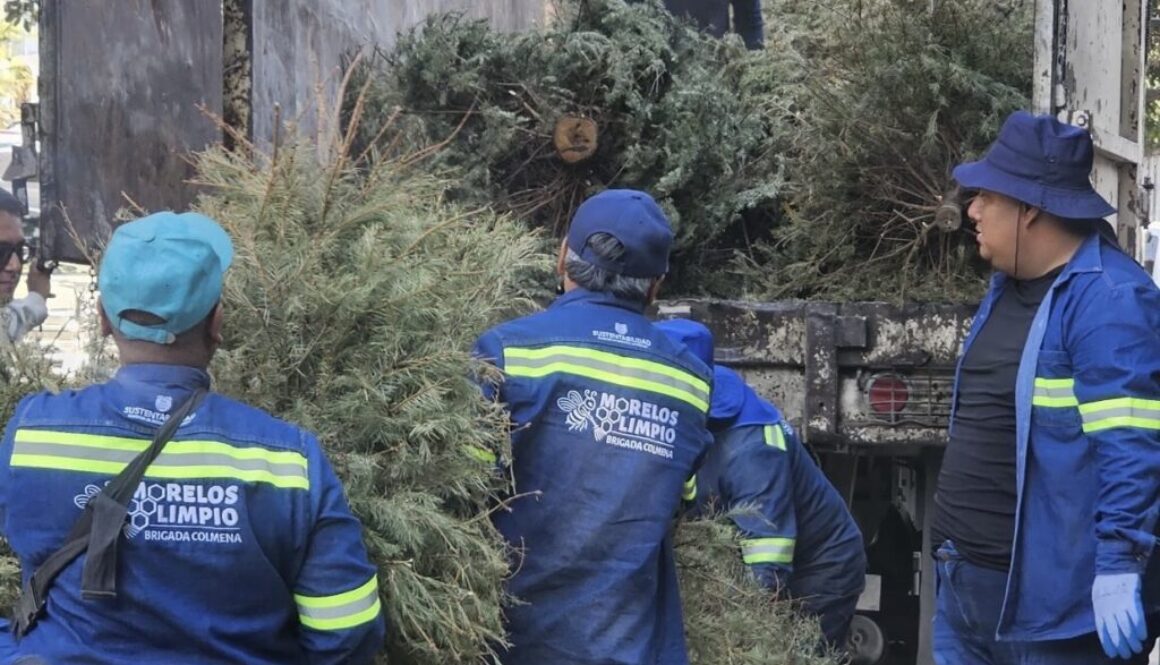 4d247793-31d2-427e-a394-a4a2da45fb8b