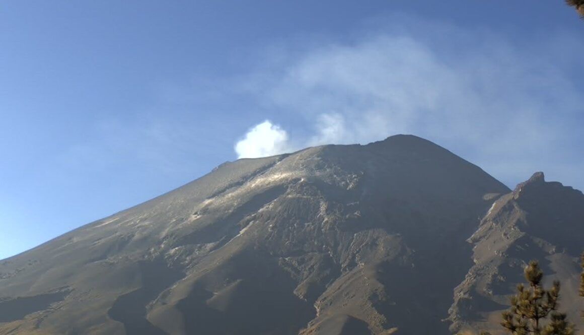 dd5ae662-b420-420d-a732-d1d6d94e4e2f