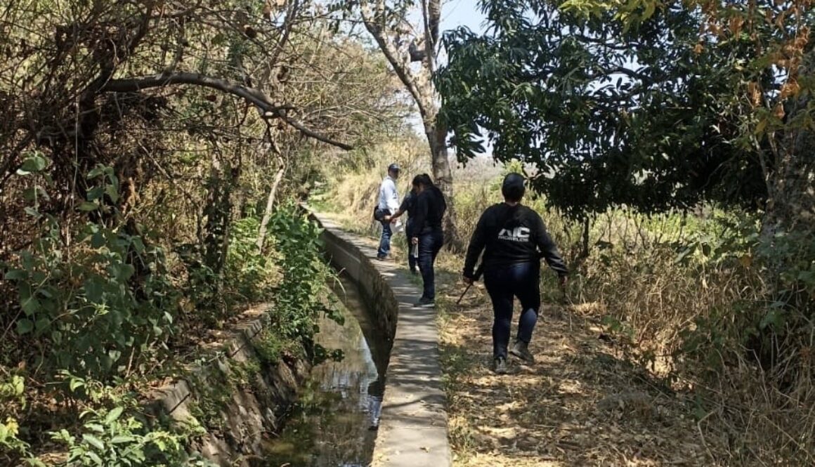 06757565-4cba-4842-8049-079ddfc87029