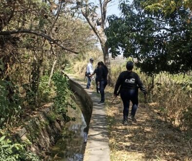 06757565-4cba-4842-8049-079ddfc87029