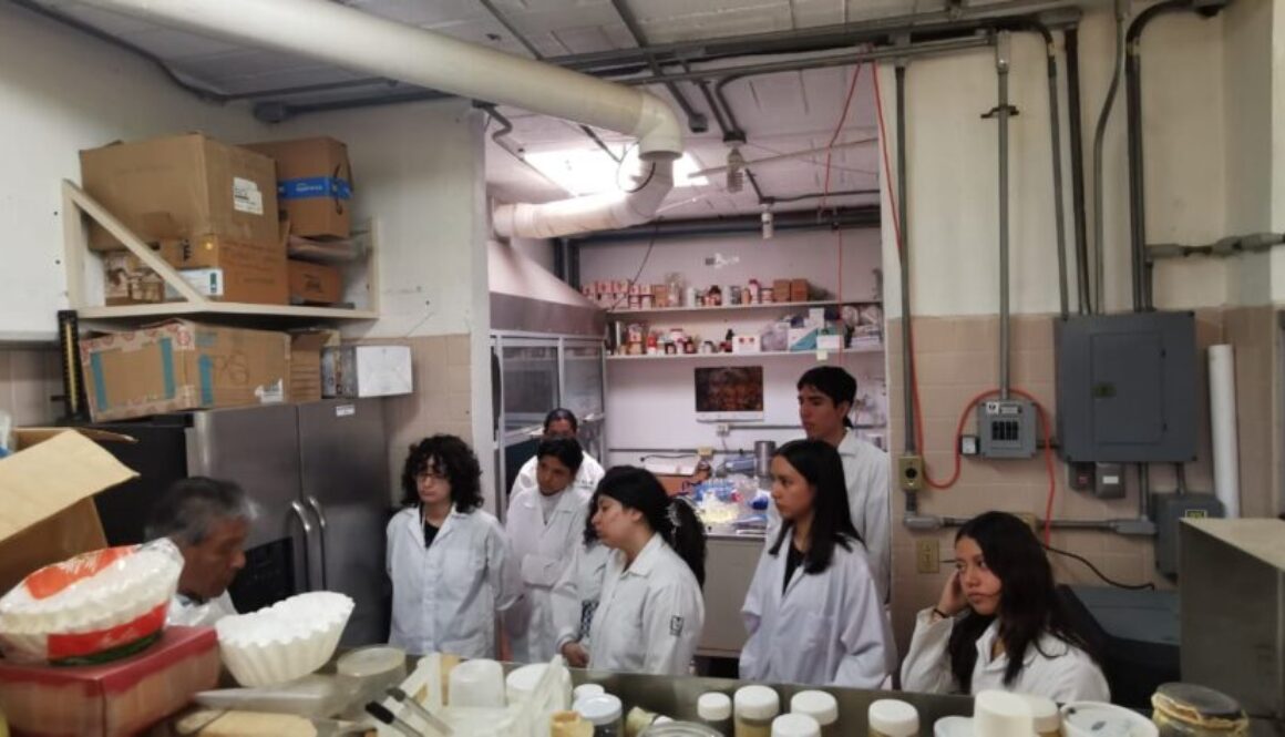 48d4fbd6-5592-4b51-91c9-c4ed617869e5