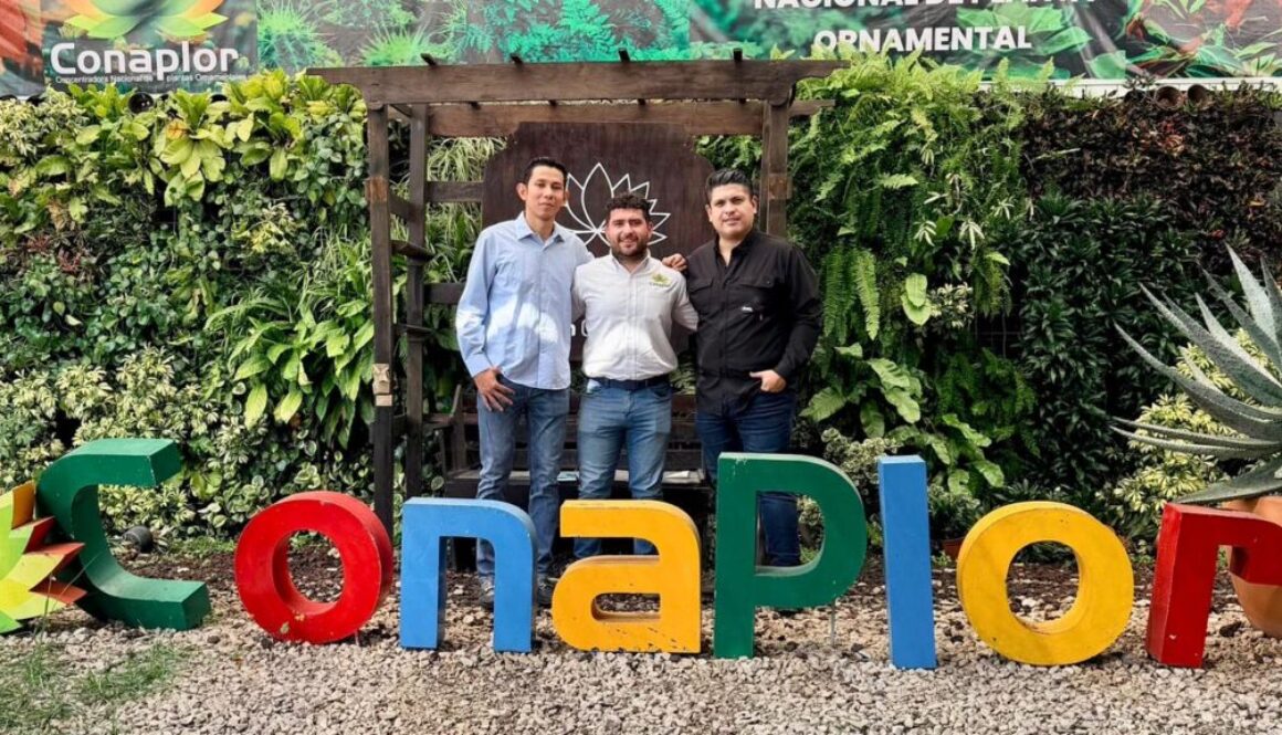 0aaa6fa3-5df1-46eb-999c-501edb78d698