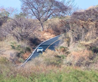 819b8e14-d586-4da2-a266-f0adb77a6e6e