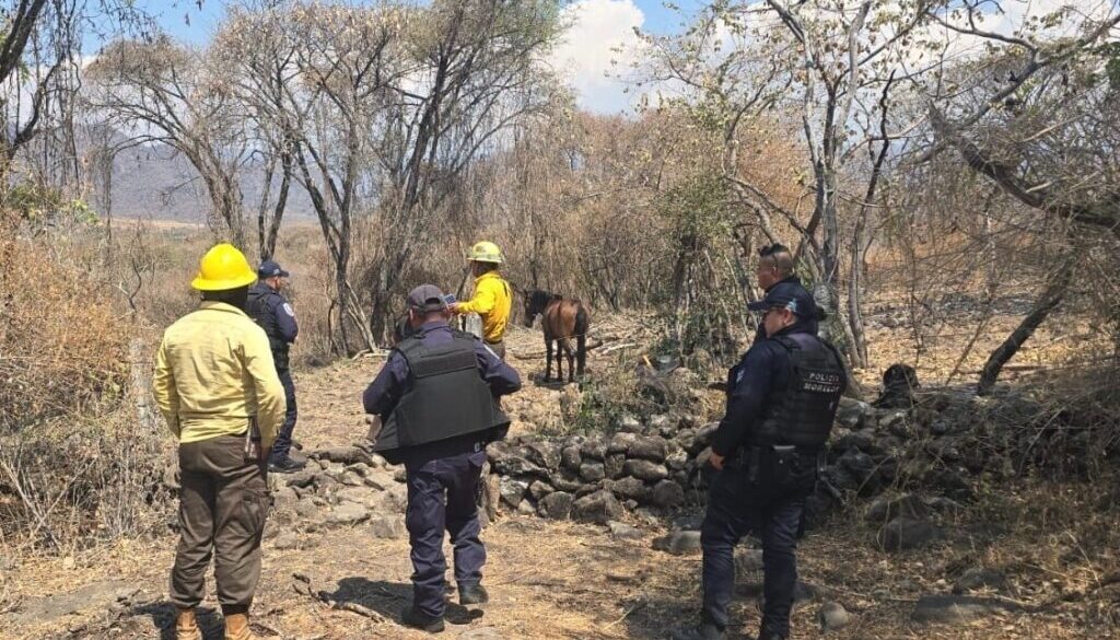 22b794e2-1170-45df-9be3-c5ed62bc0c00