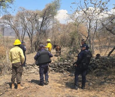 22b794e2-1170-45df-9be3-c5ed62bc0c00