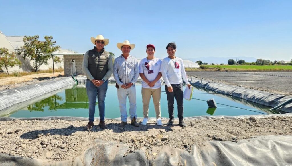 d0b0a409-f44e-405a-b9fb-b26dd5ec05cf