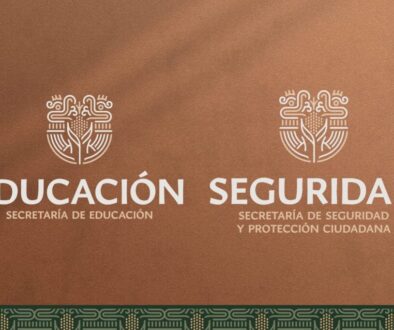 06a2d081-a46f-4298-b79e-ba99f34b6c6f