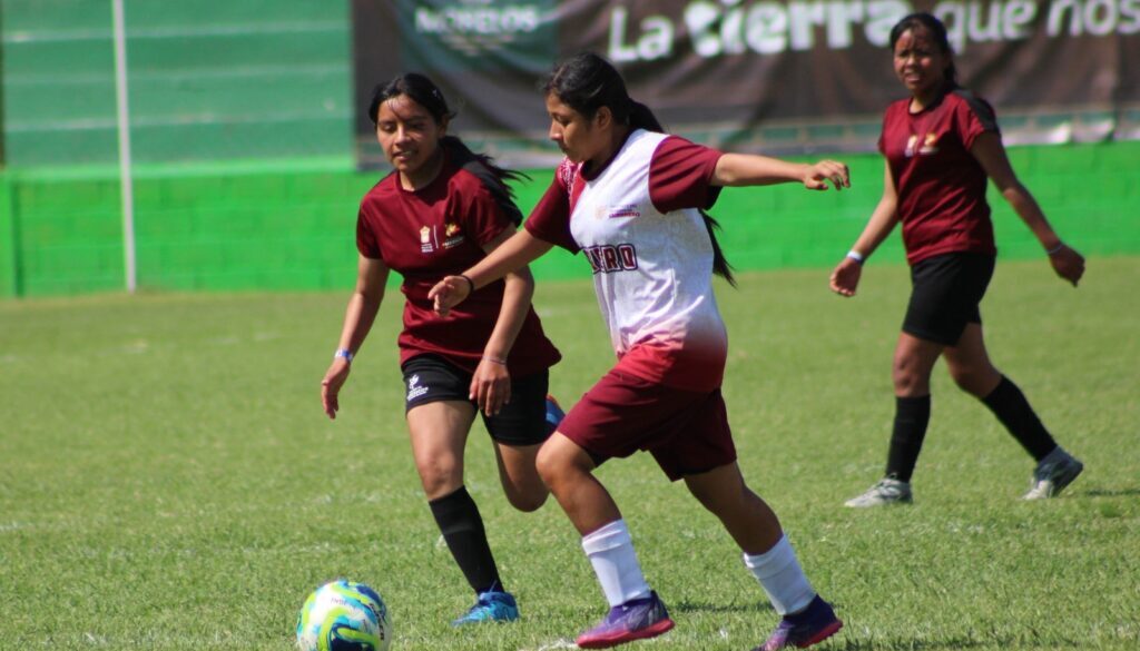 07444189-a29c-4fe4-8b6c-535157351a6d