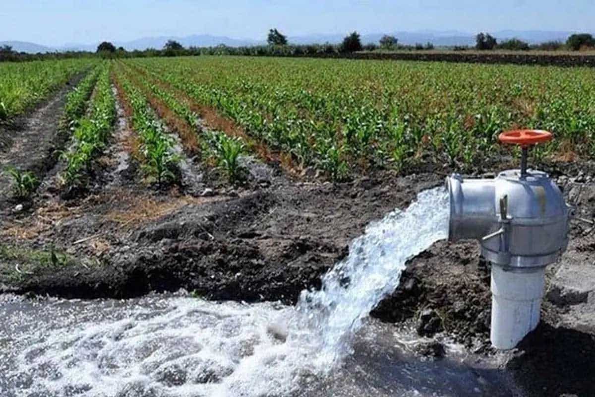 Gobierno de México llama a productoras y productores a regularizar concesiones de agua antes del 28 de abril para acceder a programas federales