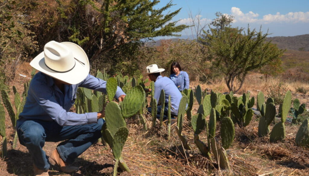 WhatsApp Image 2026-03-09 at 4.00.12 PM