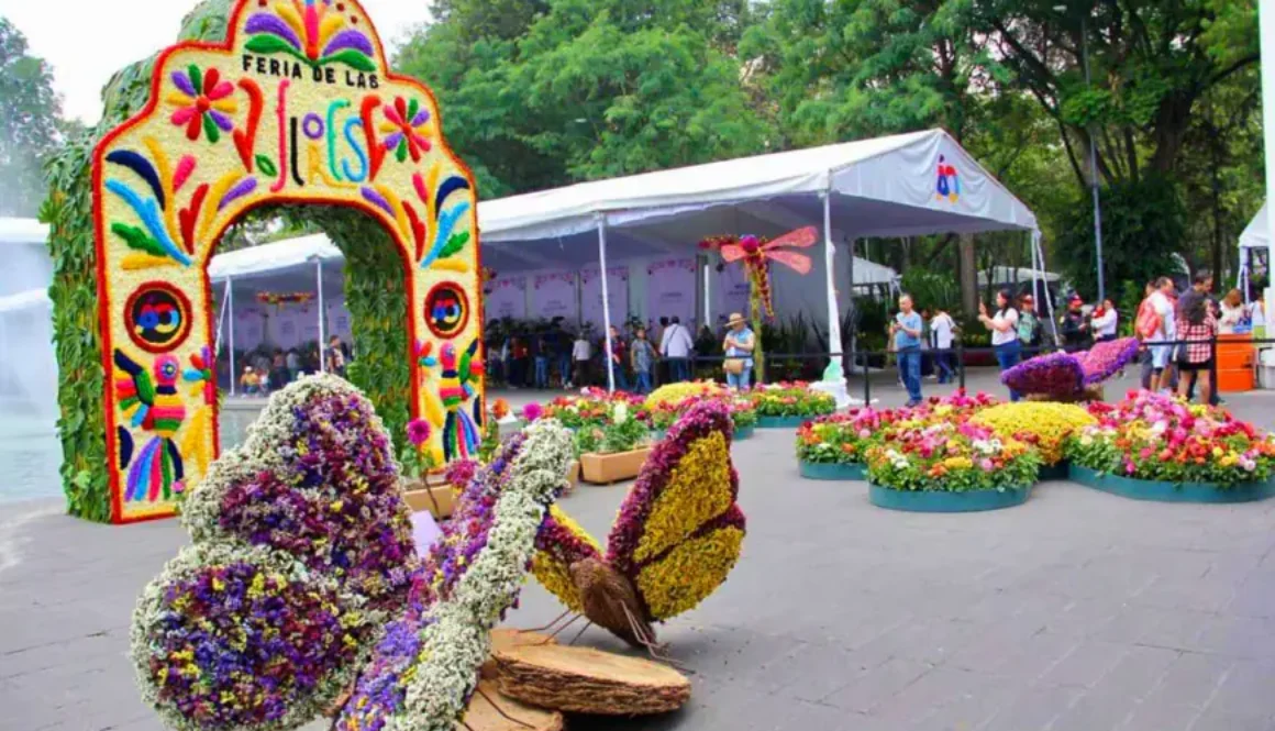 image_870x_67c0c304ce4cc