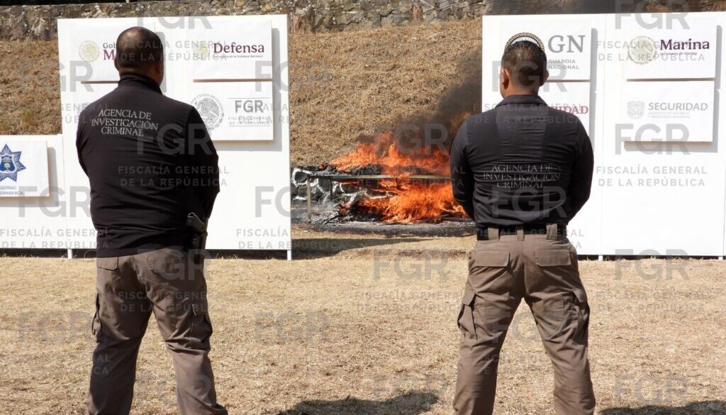 WhatsApp Image 2026-03-11 at 4.34.28 PM