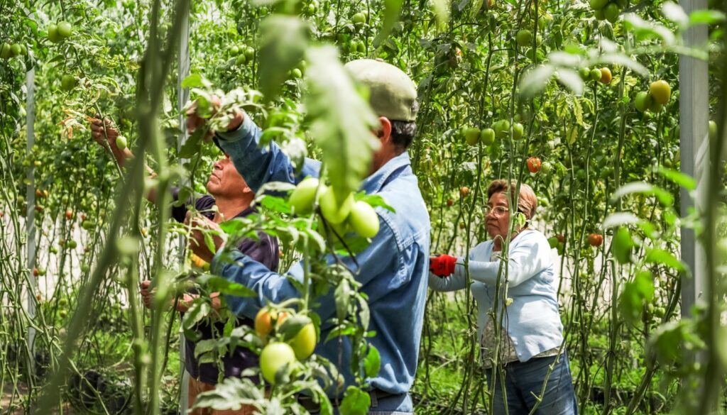 3432ea2a-a750-4bd1-b041-a4d8f762c678