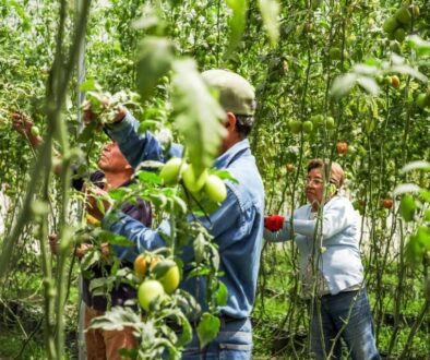 3432ea2a-a750-4bd1-b041-a4d8f762c678