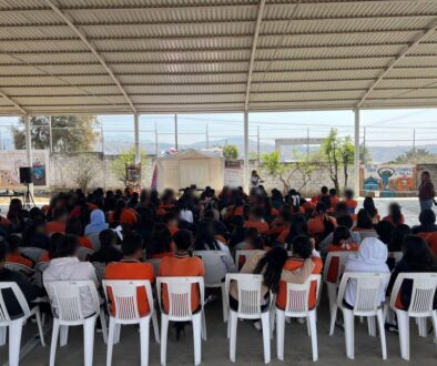 WhatsApp Image 2026-03-12 at 3.25.35 PM