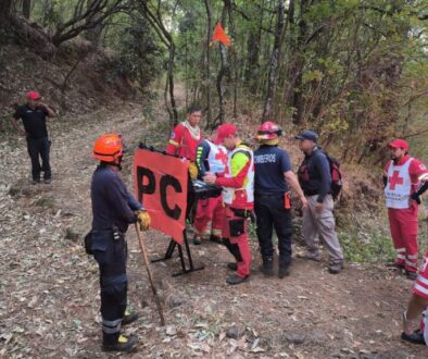 16360171-a19a-4dd6-96ca-a38b6be40b0a