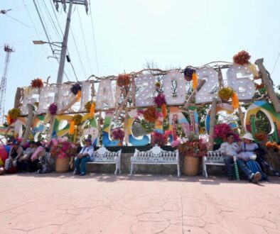 c3c088e3-7ddf-4d09-bacc-c91cdd1d5882