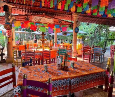 486ec2da-1d9a-4de9-a632-91aa7f022230