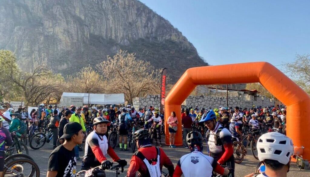 6d216baf-d2b5-43e3-8587-bd5e603d6ad2