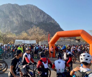 6d216baf-d2b5-43e3-8587-bd5e603d6ad2