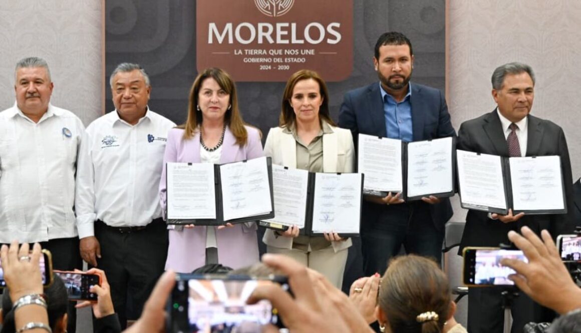 WhatsApp Image 2026-03-17 at 2.50.29 PM (1)