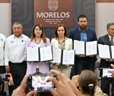 WhatsApp Image 2026-03-17 at 2.50.29 PM (1)