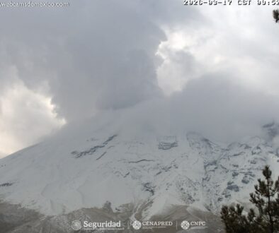 WhatsApp Image 2026-03-17 at 1.55.45 PM