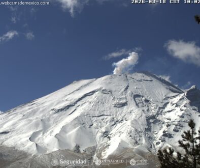 4d917416-068a-4f09-bdd4-4f7229893ff2