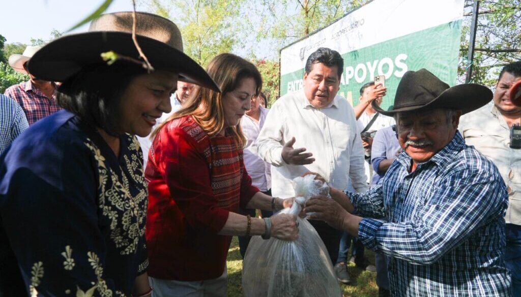 b351a10e-5381-49de-bfeb-6577599c599f