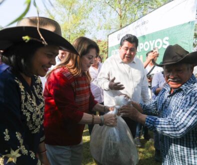 b351a10e-5381-49de-bfeb-6577599c599f