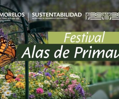 4670291d-7b96-418e-a9fe-5a056912183e