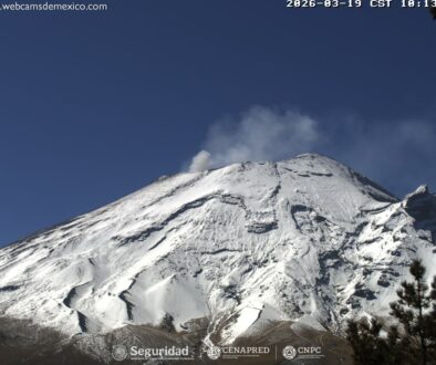 4213bfda-2413-4f04-9da9-9426599c8030