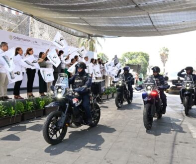 290bf3ee-ea21-4f3b-8b18-168d163ae83a