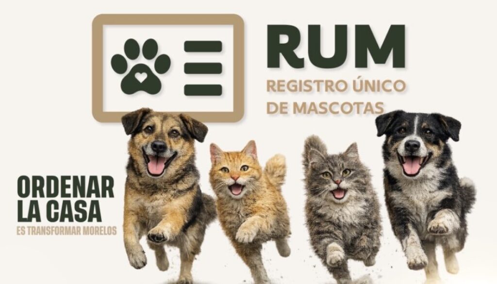 8ed53eec-ccd3-47eb-b977-ca8d102a10d3