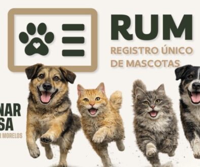 8ed53eec-ccd3-47eb-b977-ca8d102a10d3