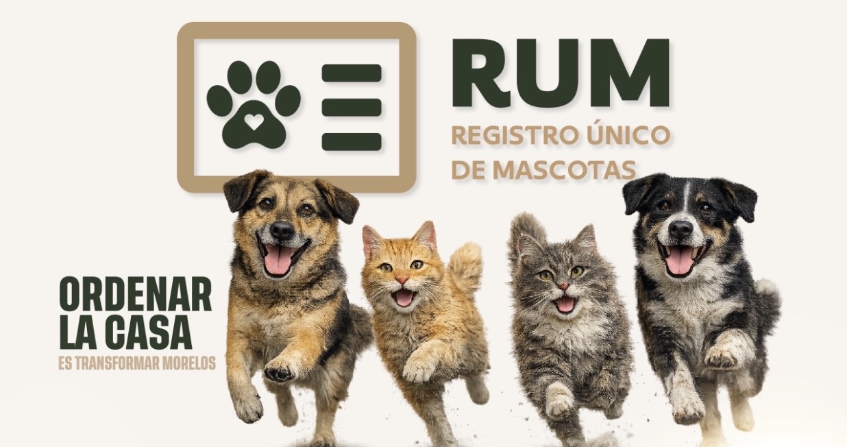 INVITA GOBIERNO DEL ESTADO A JORNADA GRATUITA DE ESTERILIZACIÓN PARA PERROS Y GATOS EN TLALTIZAPÁN