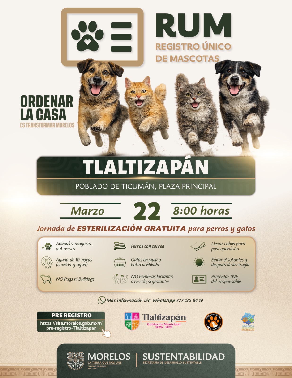 INVITA GOBIERNO DEL ESTADO A JORNADA GRATUITA DE ESTERILIZACIÓN PARA PERROS Y GATOS EN TLALTIZAPÁN