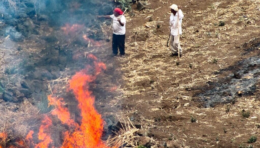 2426c672-ea58-4404-8187-0097ae5603b6