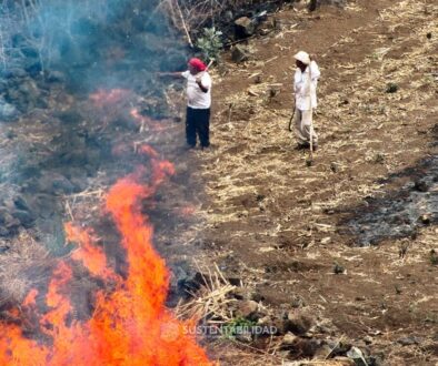 2426c672-ea58-4404-8187-0097ae5603b6