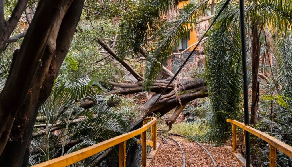 75a0b88e-69df-48f6-94bd-413831d99921