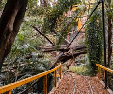 75a0b88e-69df-48f6-94bd-413831d99921